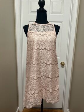bleuh ciel Sleeveless Lace Midi Dress in Blush Pink